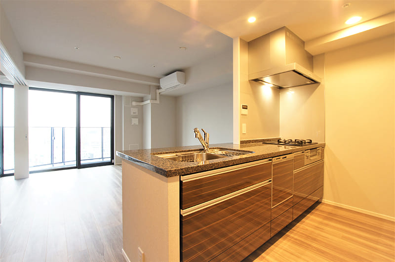 システムキッチン(Dタイプ)