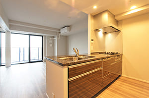 キッチン・LD(Dタイプ)